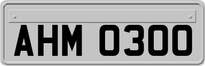 AHM0300