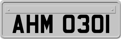 AHM0301