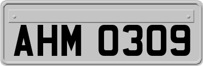 AHM0309