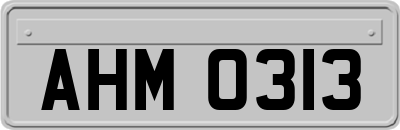 AHM0313