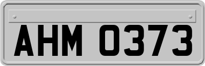 AHM0373
