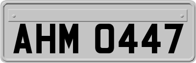 AHM0447
