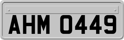 AHM0449