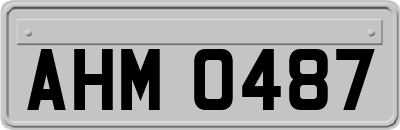 AHM0487