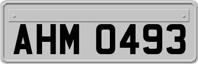 AHM0493