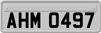 AHM0497