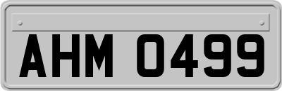 AHM0499