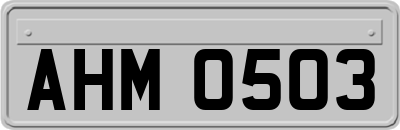 AHM0503