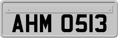 AHM0513