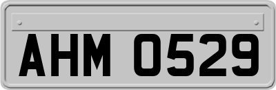 AHM0529