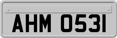 AHM0531
