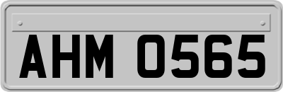 AHM0565