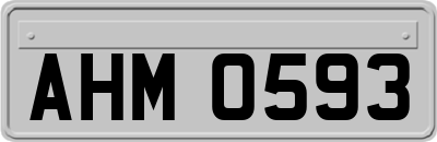 AHM0593