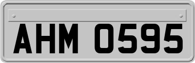 AHM0595