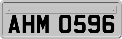 AHM0596