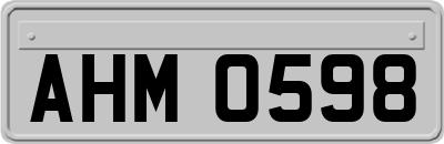 AHM0598