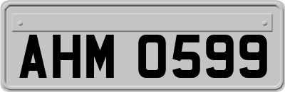 AHM0599