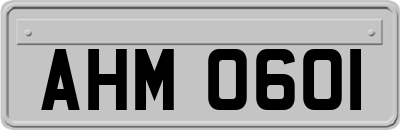 AHM0601