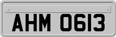 AHM0613