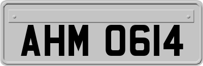 AHM0614