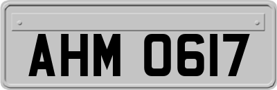 AHM0617