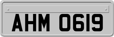 AHM0619