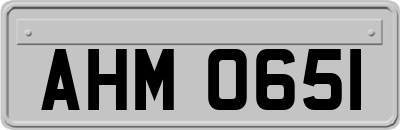AHM0651