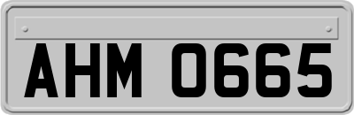 AHM0665