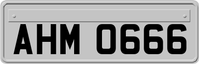 AHM0666