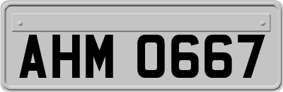 AHM0667