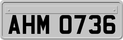 AHM0736
