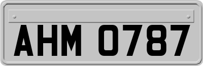 AHM0787