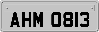 AHM0813