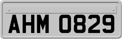 AHM0829