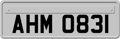 AHM0831