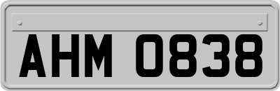 AHM0838