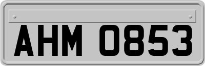 AHM0853
