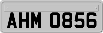 AHM0856
