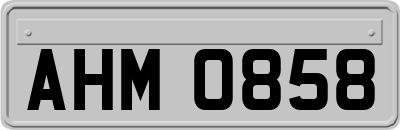 AHM0858