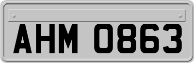 AHM0863