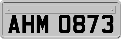 AHM0873