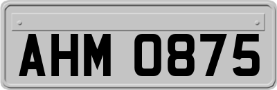 AHM0875