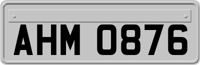 AHM0876