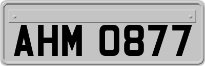 AHM0877