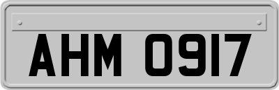 AHM0917