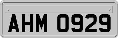 AHM0929