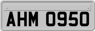 AHM0950