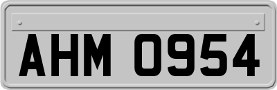 AHM0954