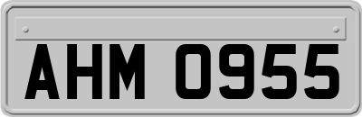 AHM0955