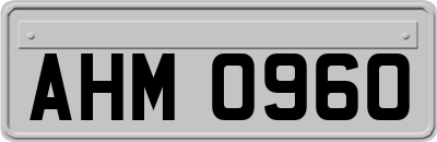 AHM0960